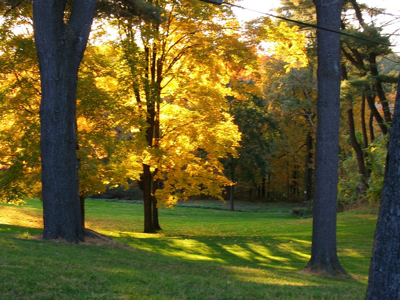 River Ridge at Hyde Park Photo Gallery